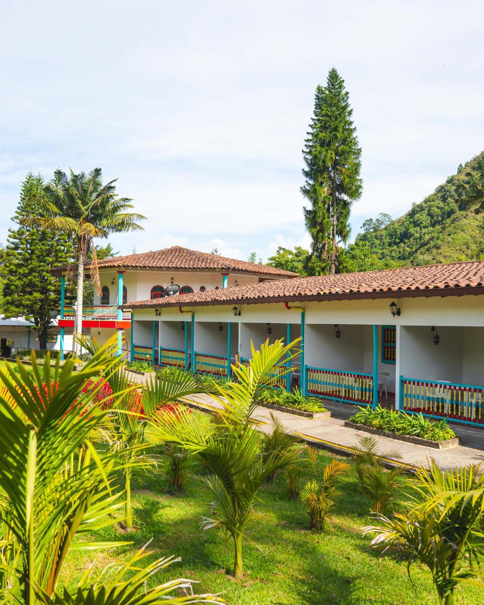 Dreamer Cocora Salento Kültér fotó